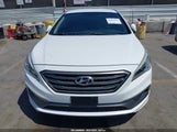 Hyundai Sonata Sport 5NPE34AF1HH555562 снимка