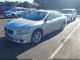 Nissan Maxima 3.5 Sv 1N4AA51E49C801993 снимка