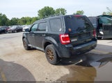 Ford Escape Xlt 1FMCU9DG7AKB87171 снимка