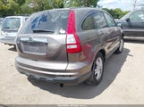 Honda Cr-V Ex-L 5J6RE4H74AL083198 photo