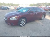 Nissan Maxima 3.5 Sv 1N4AA5AP6AC871887 снимка