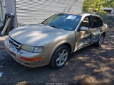 Nissan Maxima Gle/Gxe/Se JN1CA21D7WM919134 photo