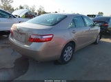 Toyota Camry Xle 4T4BE46K29R082248 снимка