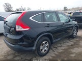Honda Cr-V Lx 2HKRM4H39CH600492 снимка
