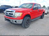 Ford F-150 Xlt 1FTFW1EF8DFA48151 снимка