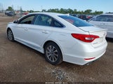 Hyundai Sonata Sport 5NPE34AF6FH032373 снимка