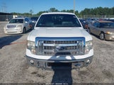 Ford F-150 Xlt 1FTFW1ET9DFA50951 снимка