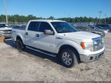 Ford F-150 Xlt 1FTFW1ET9DFA50951 снимка