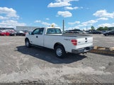 Ford F-150 Xl 1FTFX1EF2EKD12938 fotografie