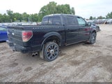 Ford F-150 Harley-Davidson 1FTFW1E61CFB60255 снимка