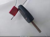 Miniaturka zdjęcia 11