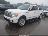 Ford F-150 Fx4/Harley-Davidson/King Ranch/Lariat/Platinum/Xl/Xlt 1FTFW1EV4AFB68421 photo