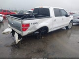Ford F-150 Fx4/Harley-Davidson/King Ranch/Lariat/Platinum/Xl/Xlt 1FTFW1EV4AFB68421 fotografie