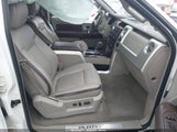 Ford F-150 Fx4/Harley-Davidson/King Ranch/Lariat/Platinum/Xl/Xlt 1FTFW1EV4AFB68421 photo