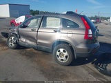 Honda Cr-V Lx 5J6RE48399L014239 снимка