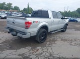 Ford F-150 Fx4/Harley-Davidson/King Ranch/Lariat/Platinum/Xl/Xlt 1FTFW1EV7AFB69224 photo