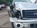 Ford F-150 Fx4/Harley-Davidson/King Ranch/Lariat/Platinum/Xl/Xlt 1FTFW1EV7AFB69224 photo
