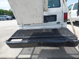 Ford E-350 Super Duty Commercial/Recreational 1FTSE34L87DA77881 fotografie