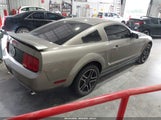 Ford Mustang V6 Deluxe/V6 Premium 1ZVHT80N955102411 photo