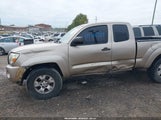 Toyota Tacoma Prerunner V6 5TETU62N18Z507191 photo