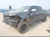 Toyota Tundra Platinum 5.7L V8 5TFAW5F10EX337038 fotografie