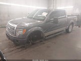 Ford F-150 Fx4/Harley-Davidson/King Ranch/Lariat/Platinum/Xl/Xlt 1FTFW1EV2AFA31073 fotografie