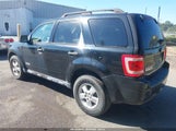 Ford Escape Xlt 1FMCU93158KA42170 снимка