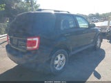 Ford Escape Xlt 1FMCU93158KA42170 снимка