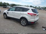 Ford Escape Titanium 1FMCU0J92FUA89114 fotografie