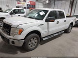 Ford F-150 Xlt 1FTFW1ET7BFB77677 снимка
