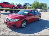 Nissan Altima 2.5/2.5 S/2.5 Sl/2.5 Sr/2.5 Sv 1N4AL3AP3GC177780 photo