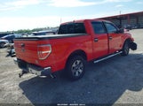 Ford F-150 Xlt 1FTFW1CF0BKD09571 снимка