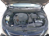 Hyundai Sonata Gls 5NPEB4AC2EH911828 снимка