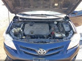 Toyota Corolla Le 2T1BU4EE9CC909583 fotografie