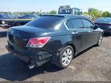 Honda Accord 3.5 Ex-L 5KBCP3F83AB003096 снимка
