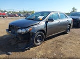 Toyota Corolla Le 2T1BU4EE6DC062488 снимка
