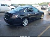 Nissan Maxima 3.5 S 1N4AA5AP2EC488051 снимка