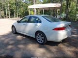Acura Tsx JH4CL96864C009911 снимка