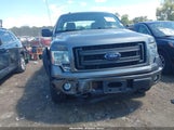 Ford F-150 Stx 1FTFX1EF1DKD04506 снимка