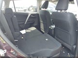 Toyota Rav4 Xle 2T3WFREV0JW406634 photo