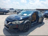 Nissan Maxima 3.5 Sr 1N4AA6AP2GC409177 снимка