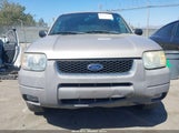 Ford Escape Xlt 1FMCU03101KC57229 снимка
