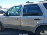 Ford Escape Xlt 1FMCU03101KC57229 снимка