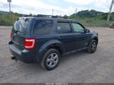 Ford Escape Xlt 1FMCU93168KB25929 снимка