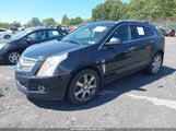 Cadillac Srx Performance Collection 3GYFNEE3XCS591845 снимка