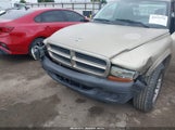 Dodge Dakota 1D7HL12X73S295557 снимка