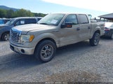 Ford F-150 Fx4/Harley-Davidson/King Ranch/Lariat/Platinum/Xl/Xlt 1FTFW1EV7AFD30638 fotografie