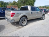 Ford F-150 Fx4/Harley-Davidson/King Ranch/Lariat/Platinum/Xl/Xlt 1FTFW1EV7AFD30638 photo