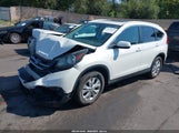 Honda Cr-V Ex-L 5J6RM4H72DL061613 снимка