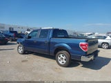 Ford F-150 Xlt 1FTEW1CM2DKF42686 снимка